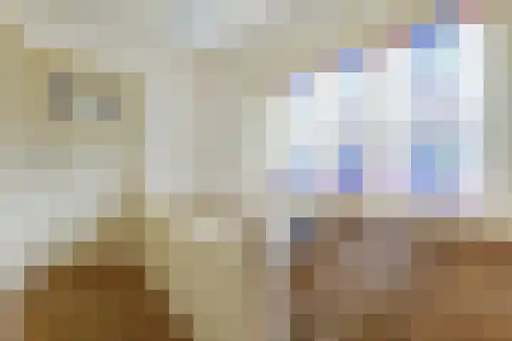 Prof. Sproncklaan 21 Zeist thumbnail 19
