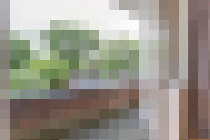 Prof. Sproncklaan 21 Zeist thumbnail 29