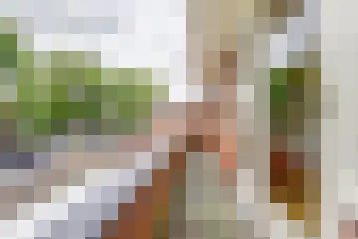 Prof. Sproncklaan 21 Zeist thumbnail 30