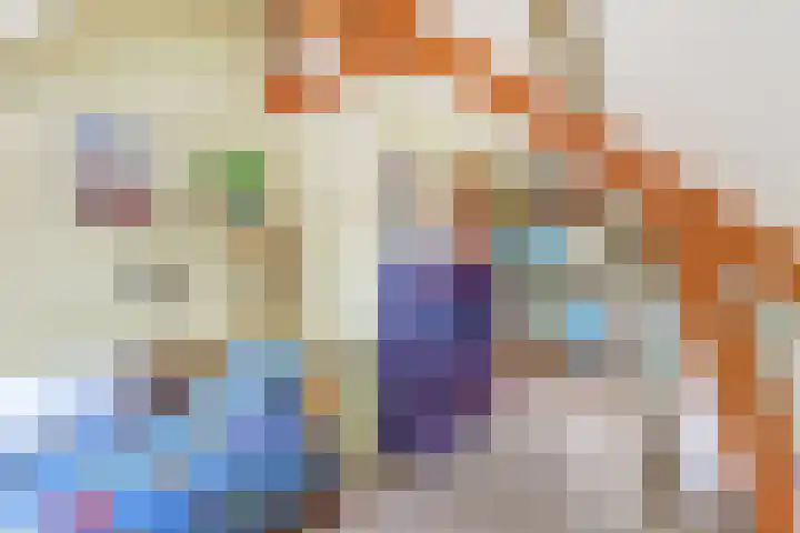 Prof. Sproncklaan 21 Zeist thumbnail 33