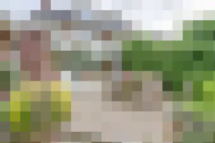 Prof. Sproncklaan 21 Zeist thumbnail 38
