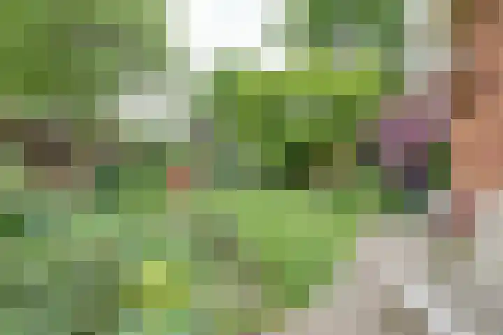 Prof. Sproncklaan 21 Zeist thumbnail 39