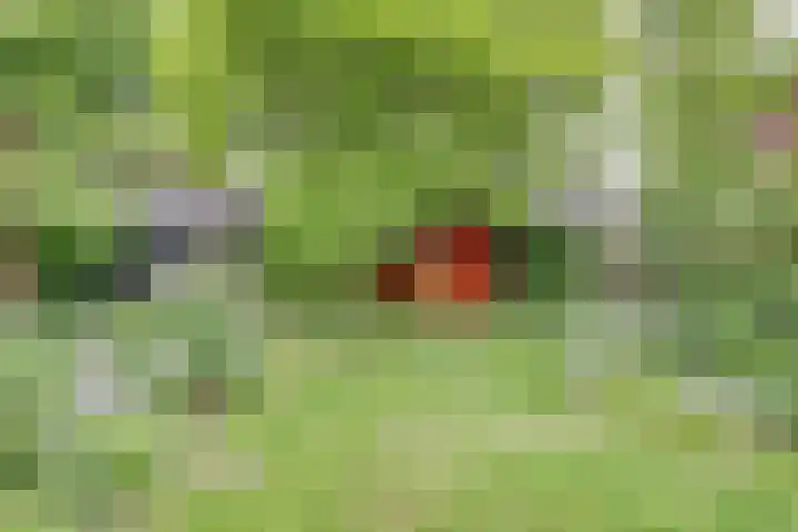 Prof. Sproncklaan 21 Zeist thumbnail 41