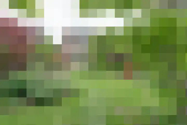 Prof. Sproncklaan 21 Zeist thumbnail 44