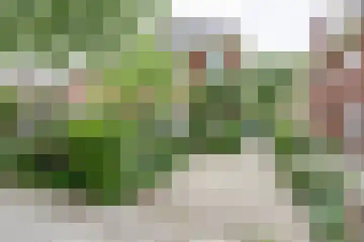 Prof. Sproncklaan 21 Zeist thumbnail 51