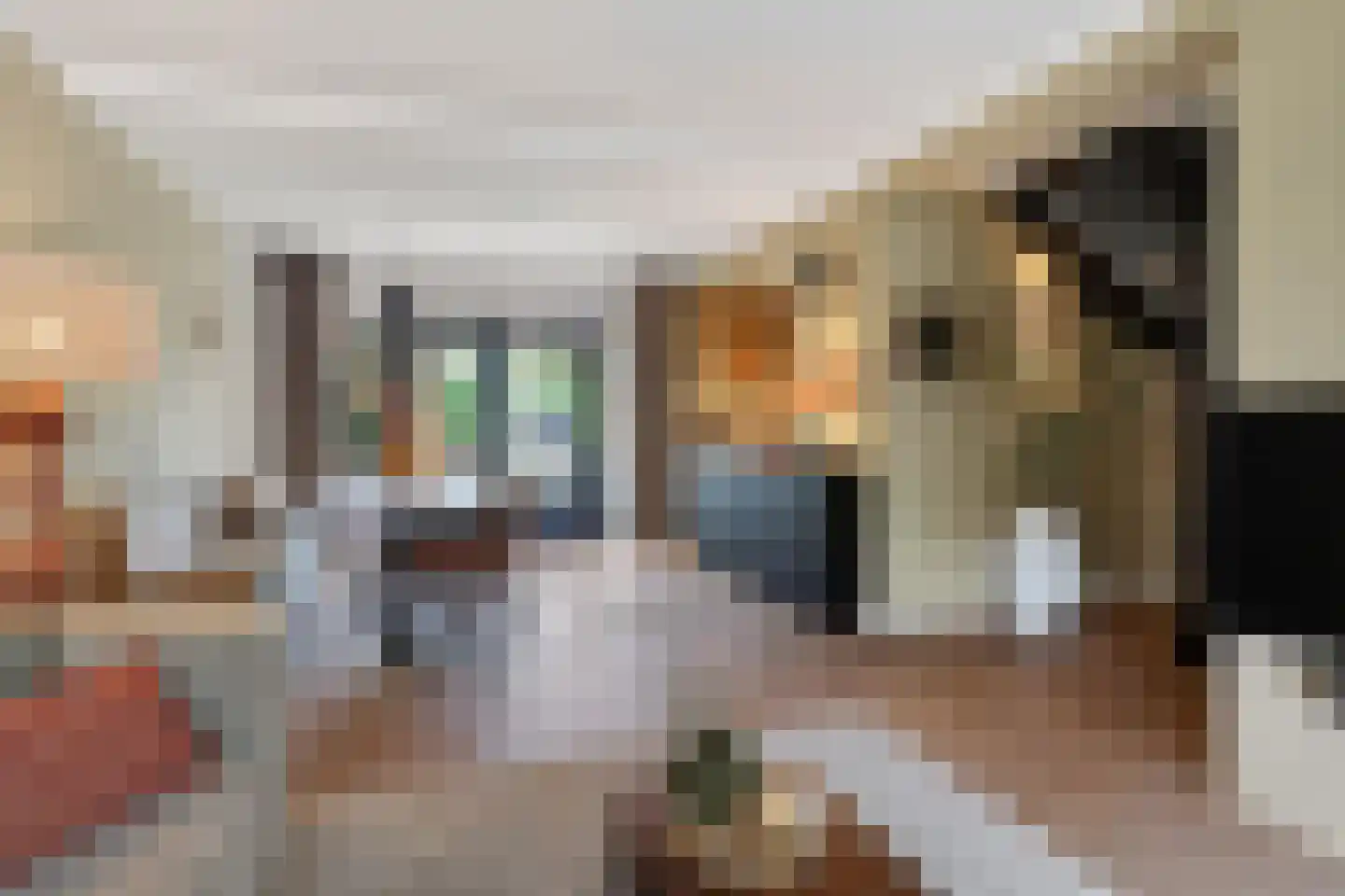Prof. Struyckenstraat 12 Veghel thumbnail 11