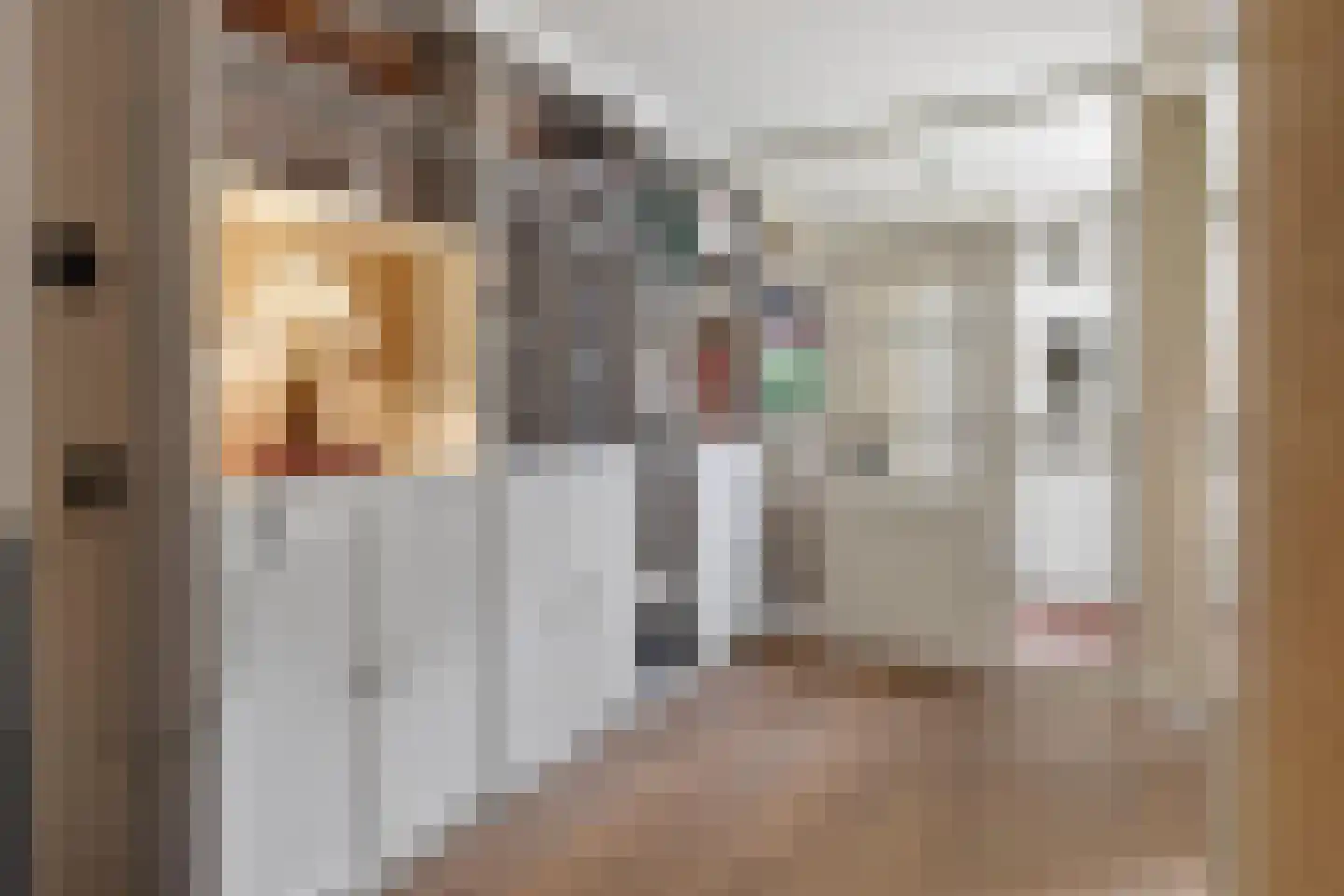 Prof. Struyckenstraat 12 Veghel thumbnail 13