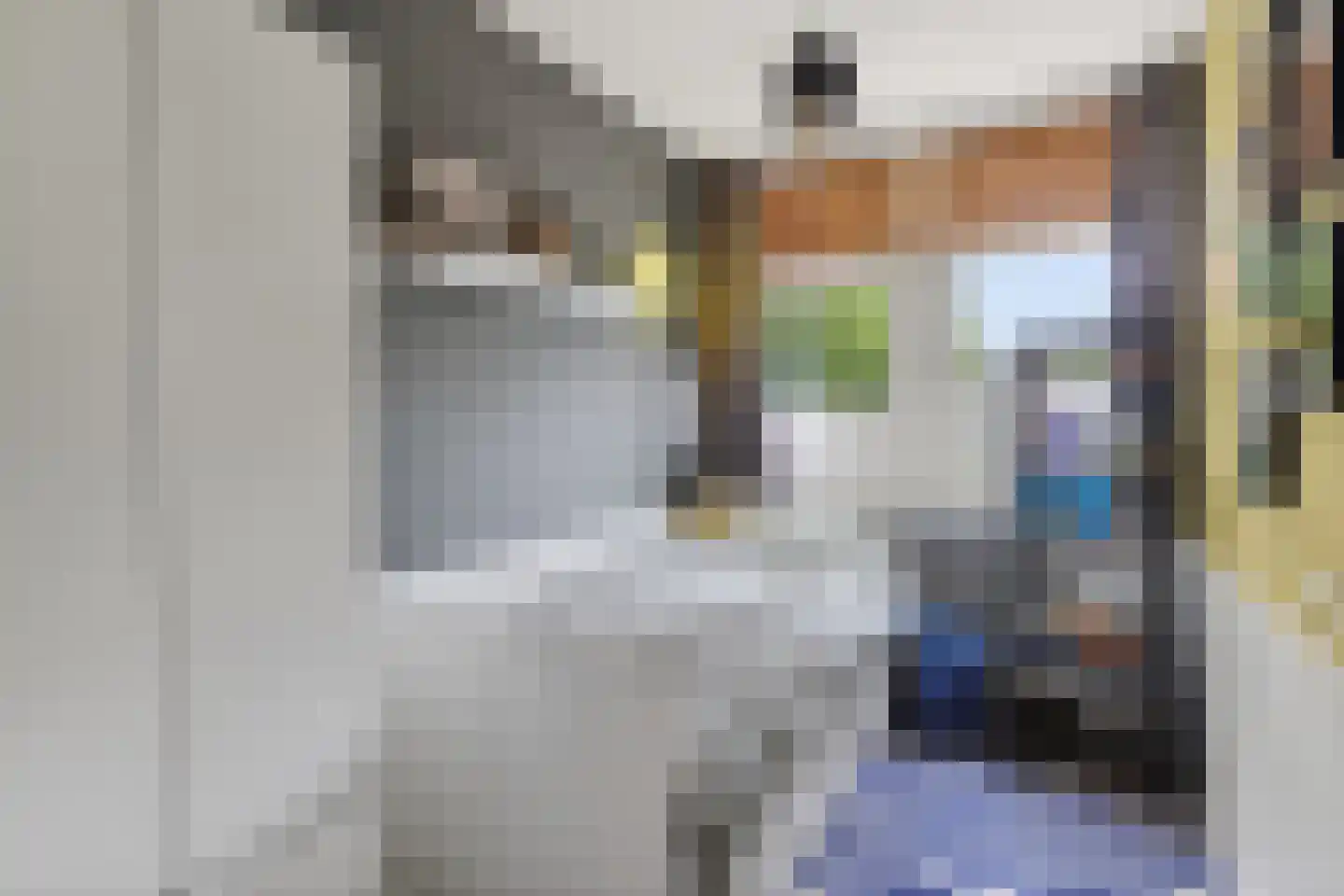 Prof. Struyckenstraat 12 Veghel thumbnail 23