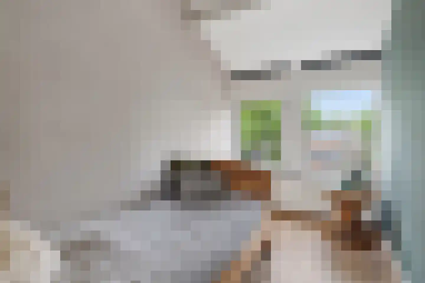 Prof. Struyckenstraat 12 Veghel thumbnail 24