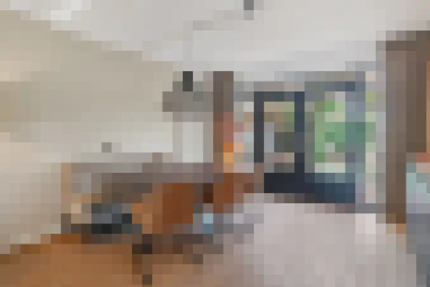Prof. Struyckenstraat 12 Veghel thumbnail 7