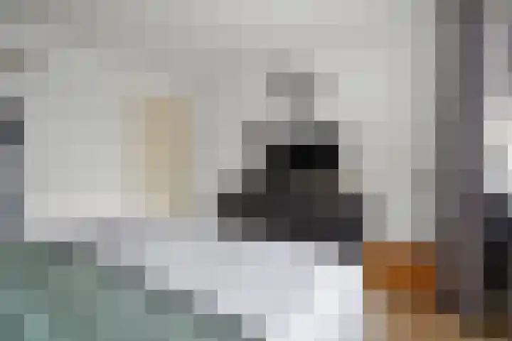 Prof. Struyckenstraat 3 Waalwijk thumbnail 17