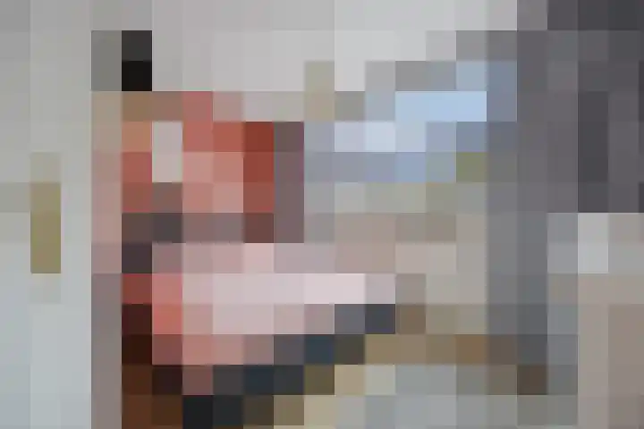 Prof. Struyckenstraat 3 Waalwijk thumbnail 20