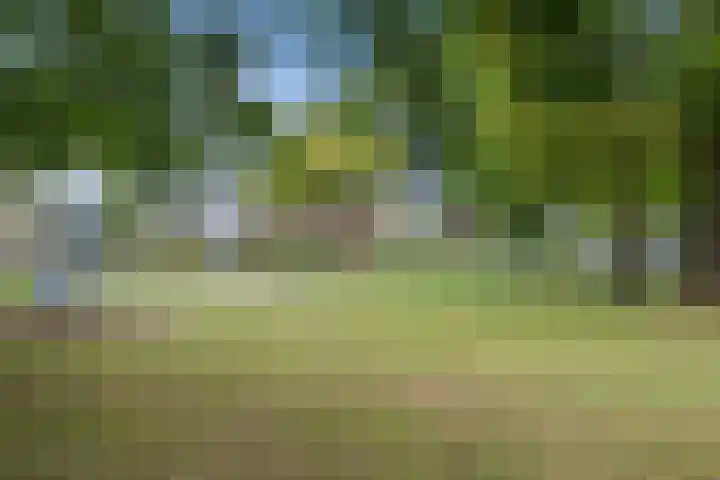Prof. Struyckenstraat 3 Waalwijk thumbnail 34