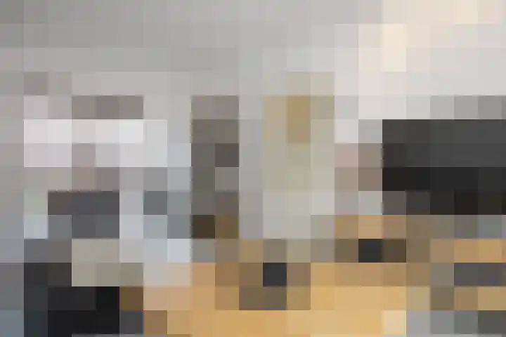Prof. Struyckenstraat 3 Waalwijk thumbnail 9