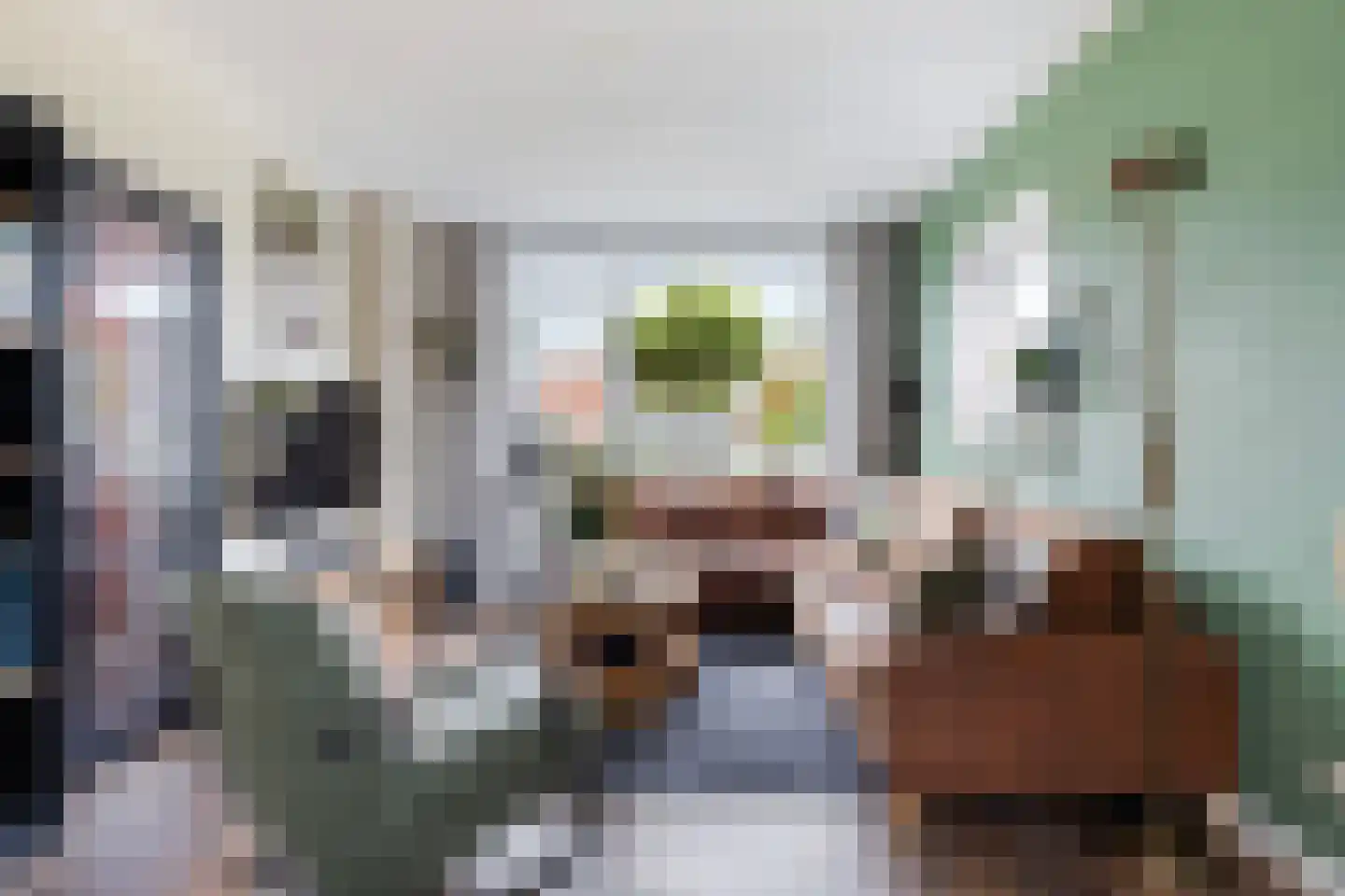 Prof.T.Brandsmastrjitte 12 Woudsend thumbnail 11