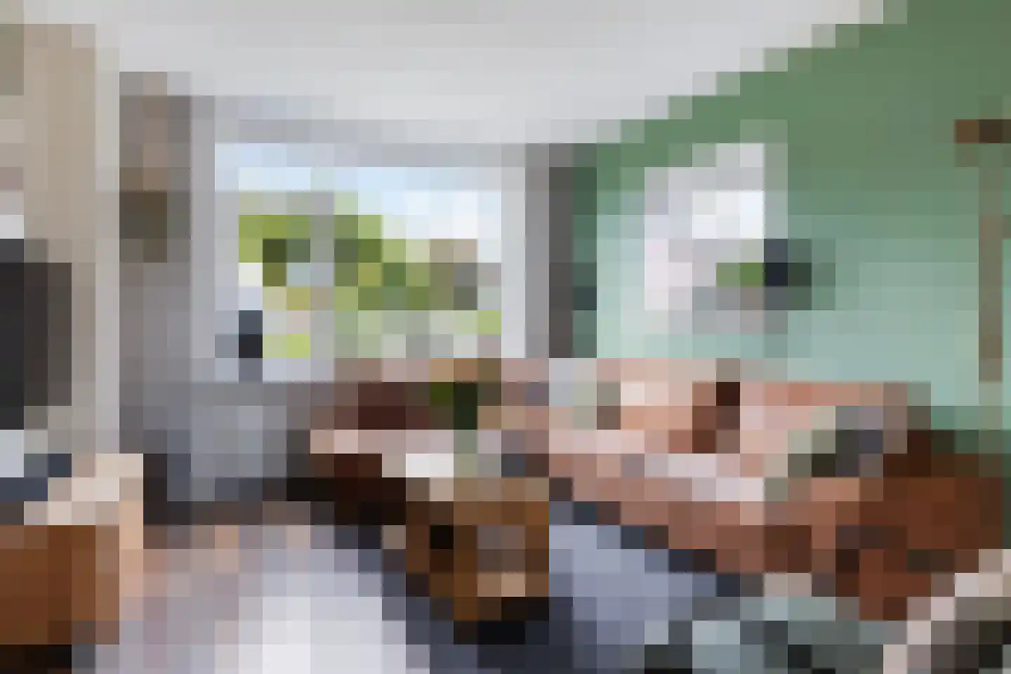 Prof.T.Brandsmastrjitte 12 Woudsend thumbnail 12