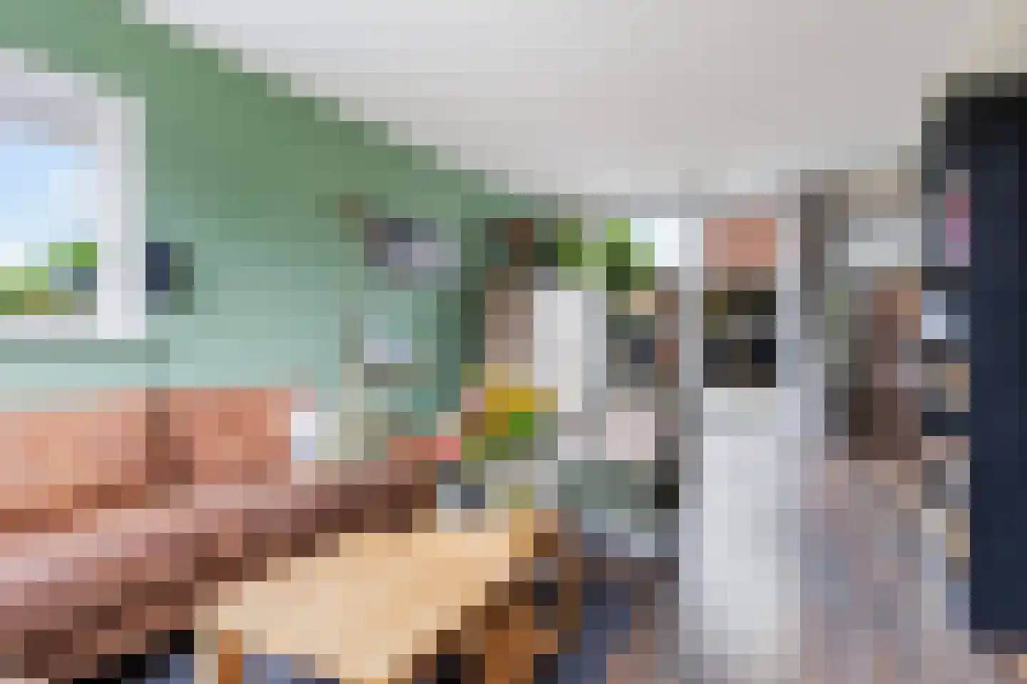 Prof.T.Brandsmastrjitte 12 Woudsend thumbnail 14