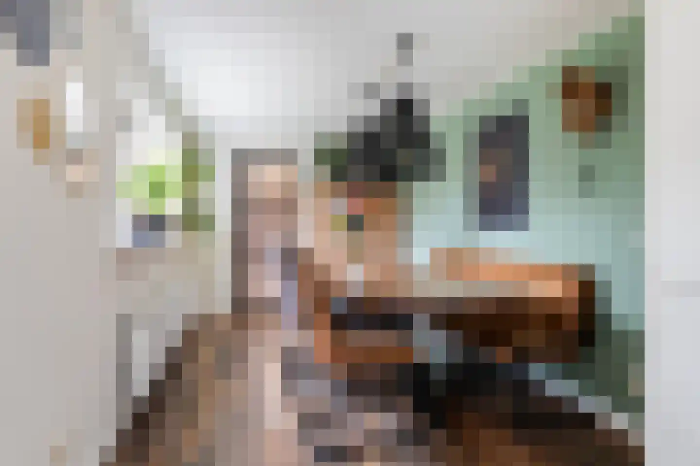 Prof.T.Brandsmastrjitte 12 Woudsend thumbnail 15
