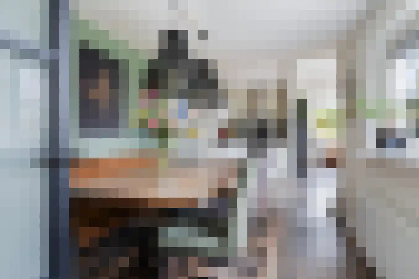Prof.T.Brandsmastrjitte 12 Woudsend thumbnail 17