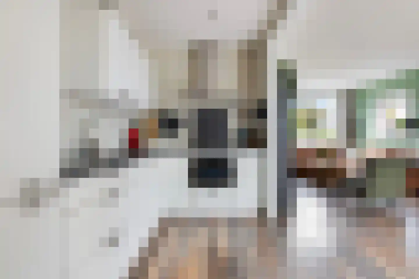 Prof.T.Brandsmastrjitte 12 Woudsend thumbnail 20