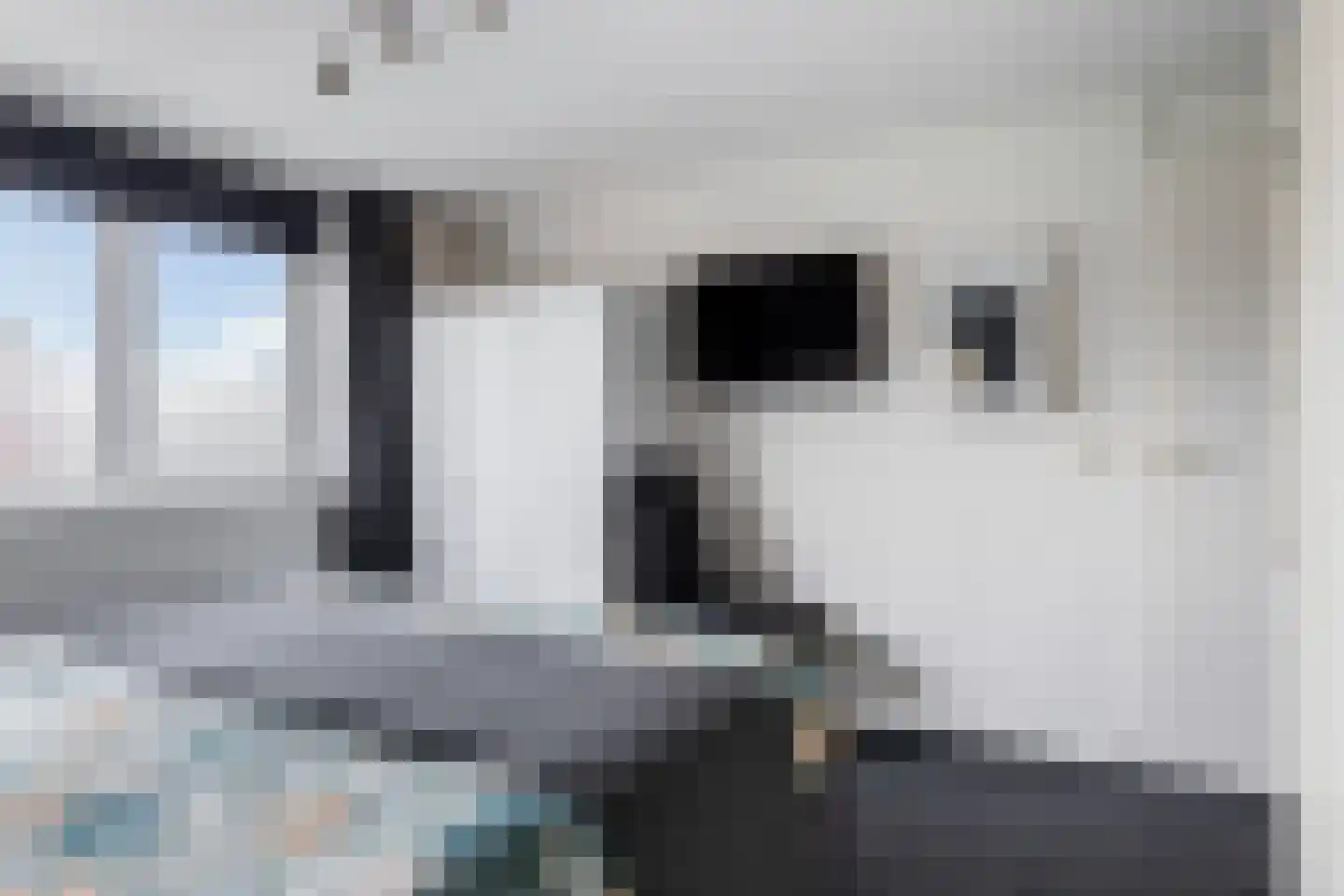 Prof.T.Brandsmastrjitte 12 Woudsend thumbnail 25