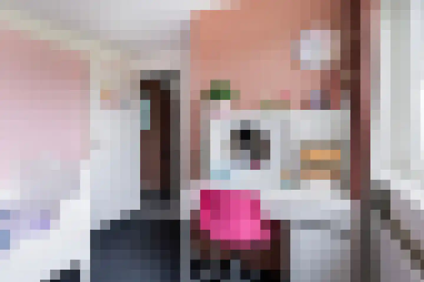 Prof.T.Brandsmastrjitte 12 Woudsend thumbnail 28