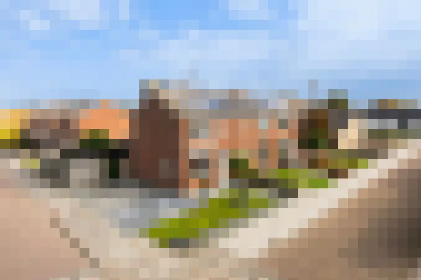 Prof.T.Brandsmastrjitte 12 Woudsend thumbnail 46