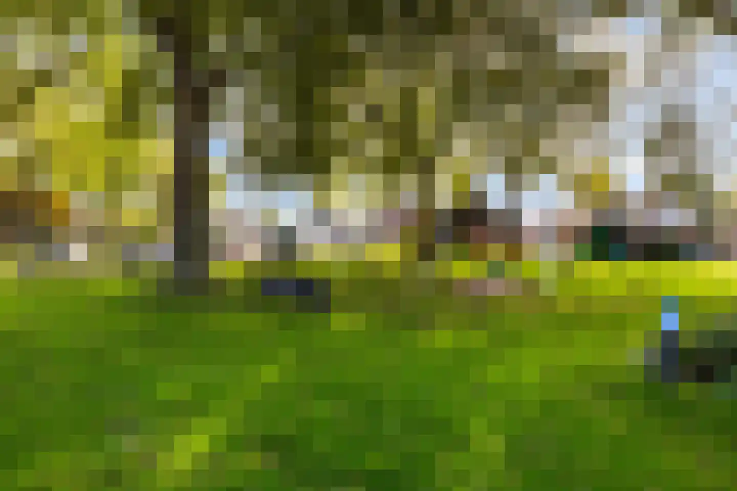 Prof.T.Brandsmastrjitte 12 Woudsend thumbnail 49