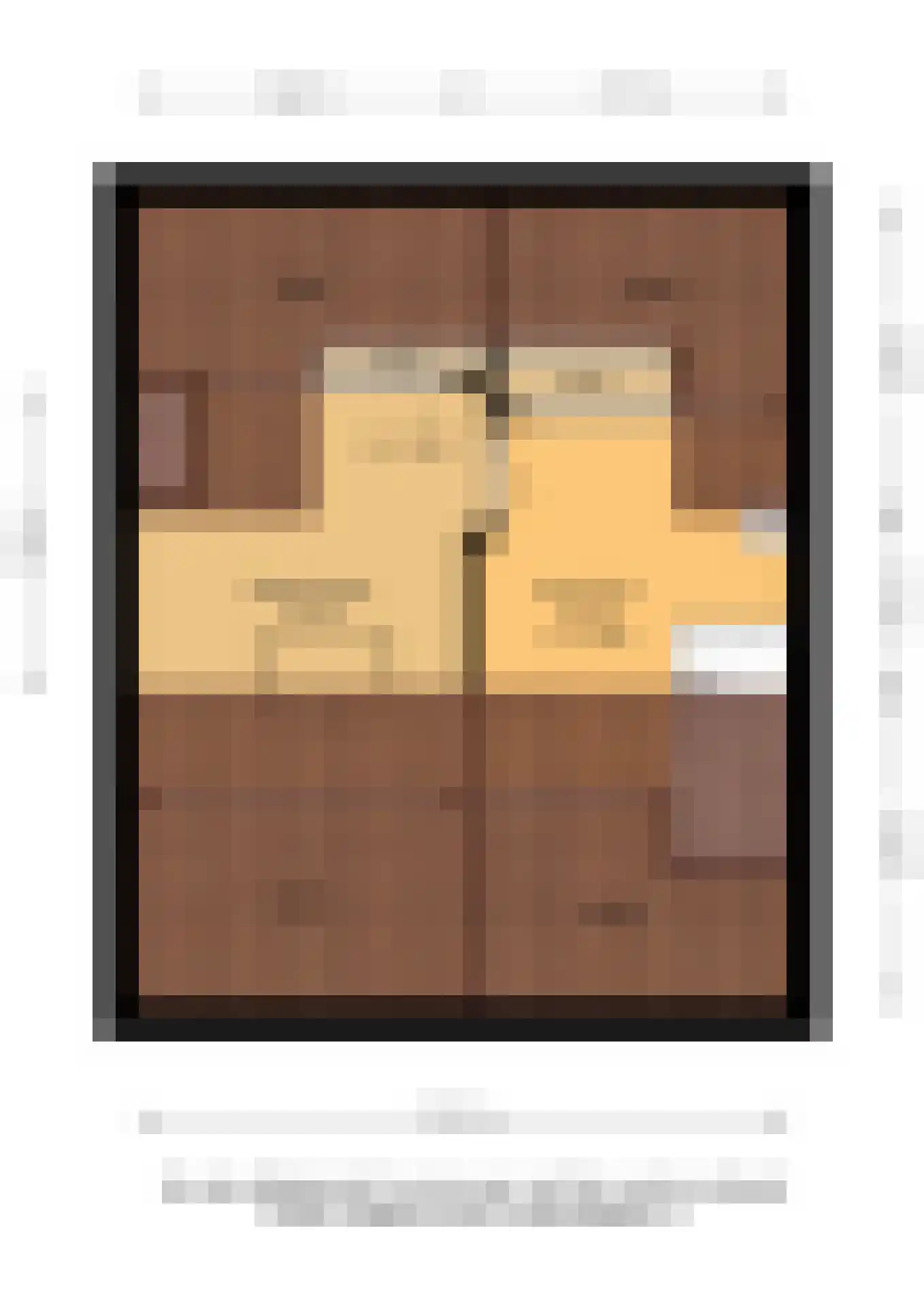 Prof.T.Brandsmastrjitte 12 Woudsend thumbnail 52