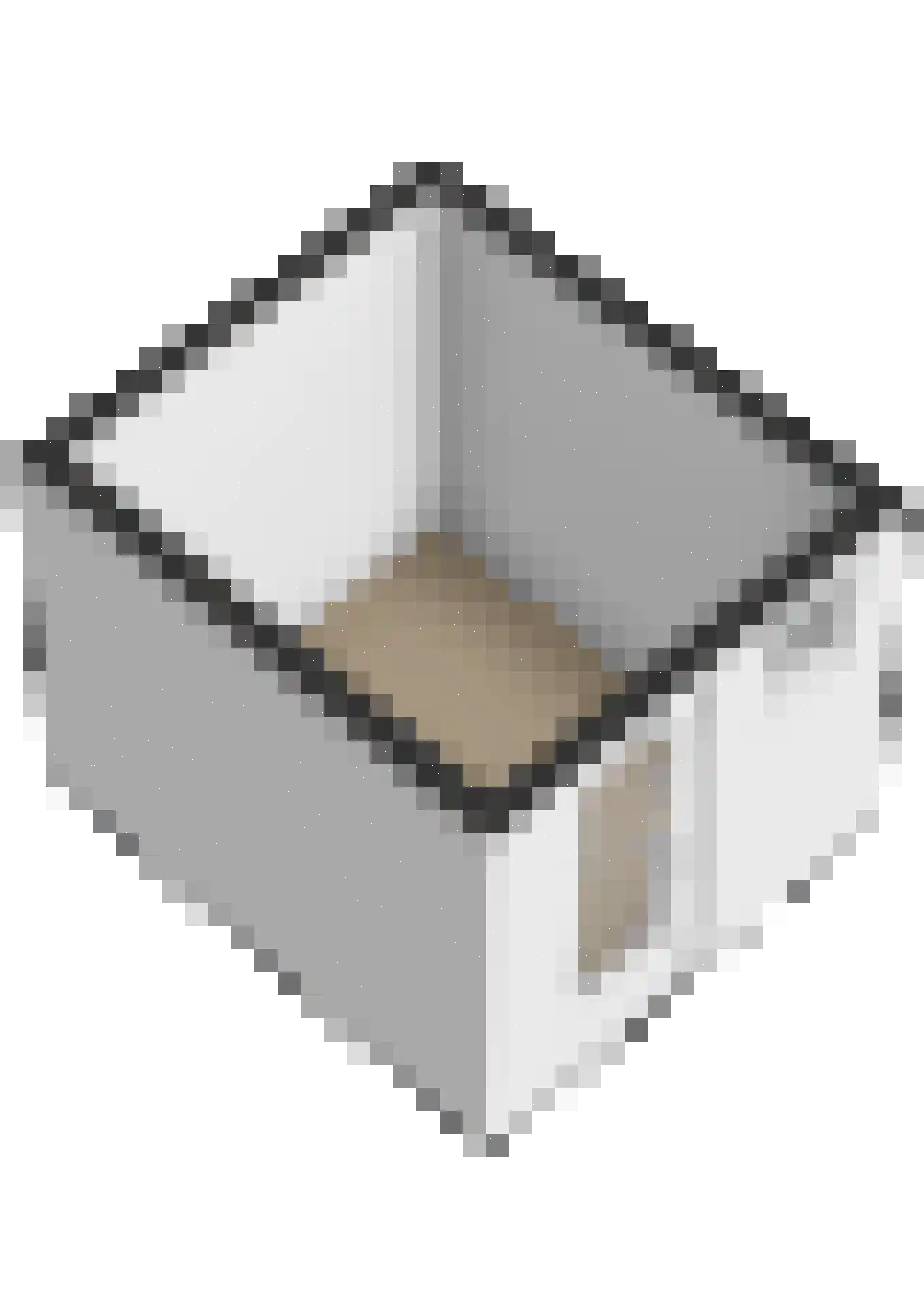 Prof.T.Brandsmastrjitte 12 Woudsend thumbnail 57