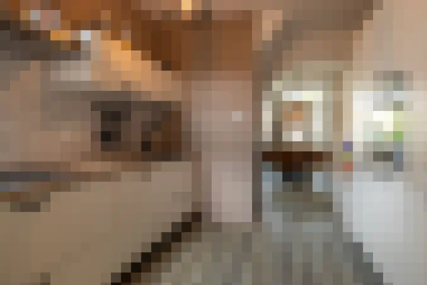 Prof.T.Brandsmastrjitte 7 Woudsend thumbnail 14