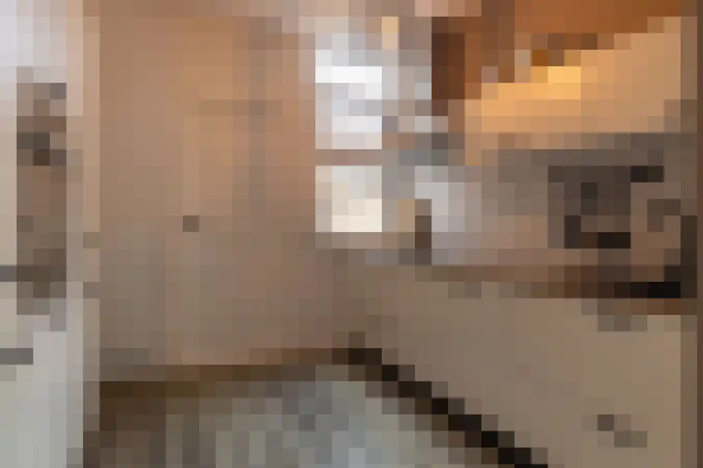 Prof.T.Brandsmastrjitte 7 Woudsend thumbnail 15
