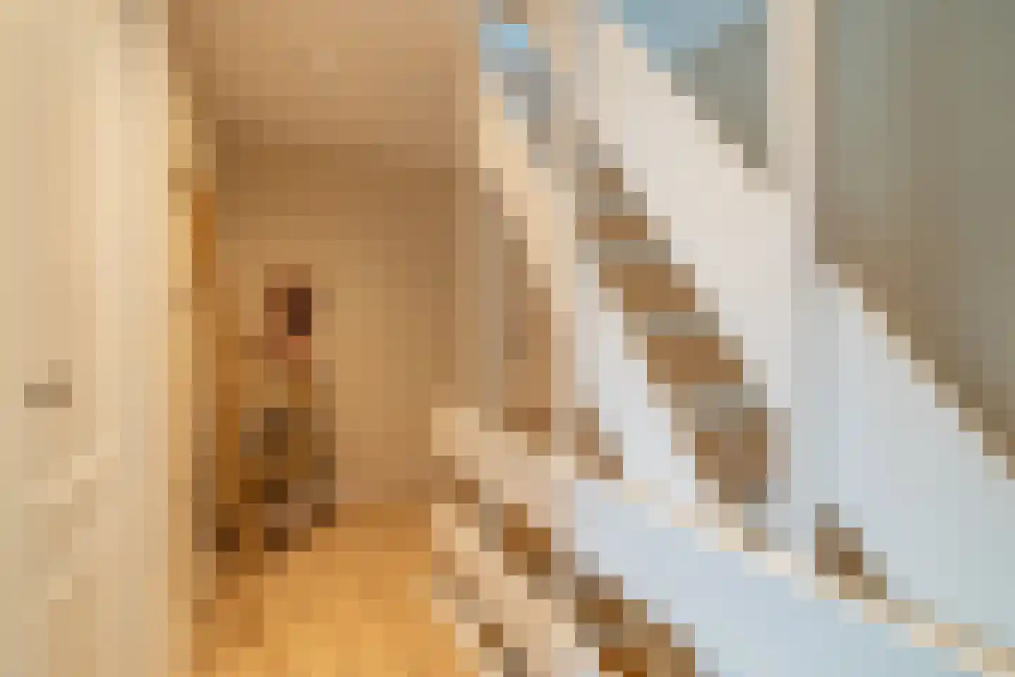 Prof.T.Brandsmastrjitte 7 Woudsend thumbnail 17