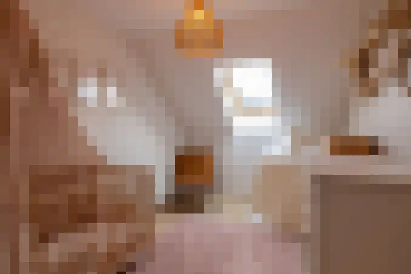 Prof.T.Brandsmastrjitte 7 Woudsend thumbnail 26