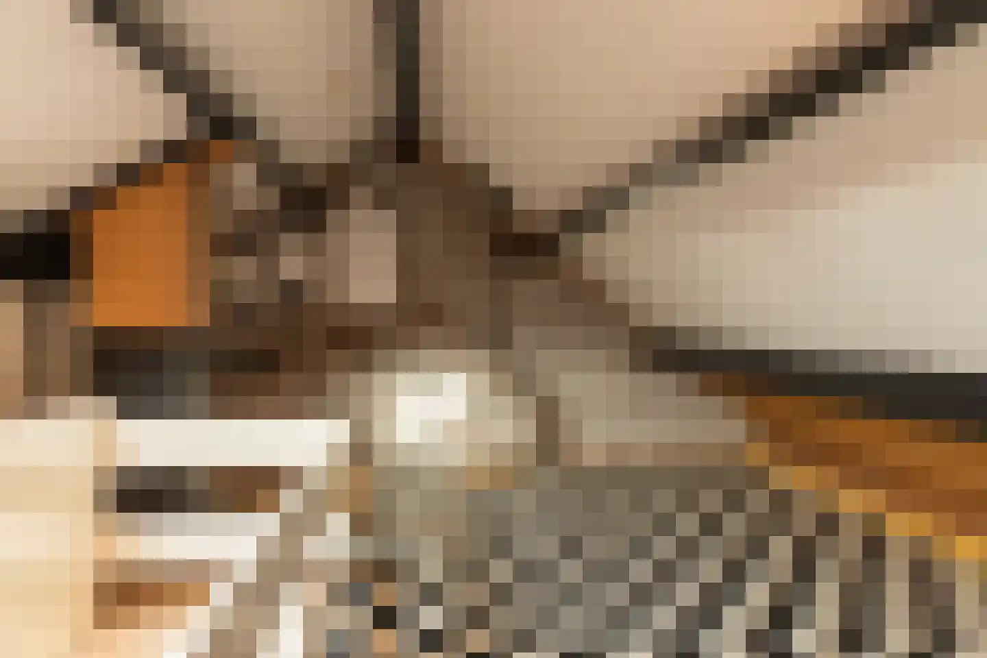 Prof.T.Brandsmastrjitte 7 Woudsend thumbnail 28