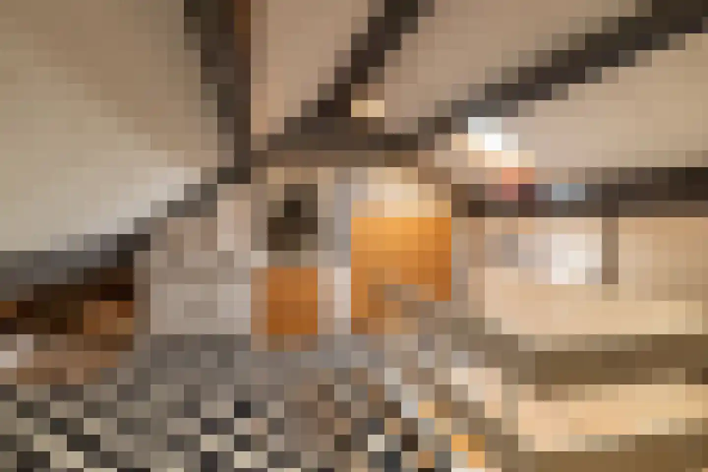 Prof.T.Brandsmastrjitte 7 Woudsend thumbnail 29