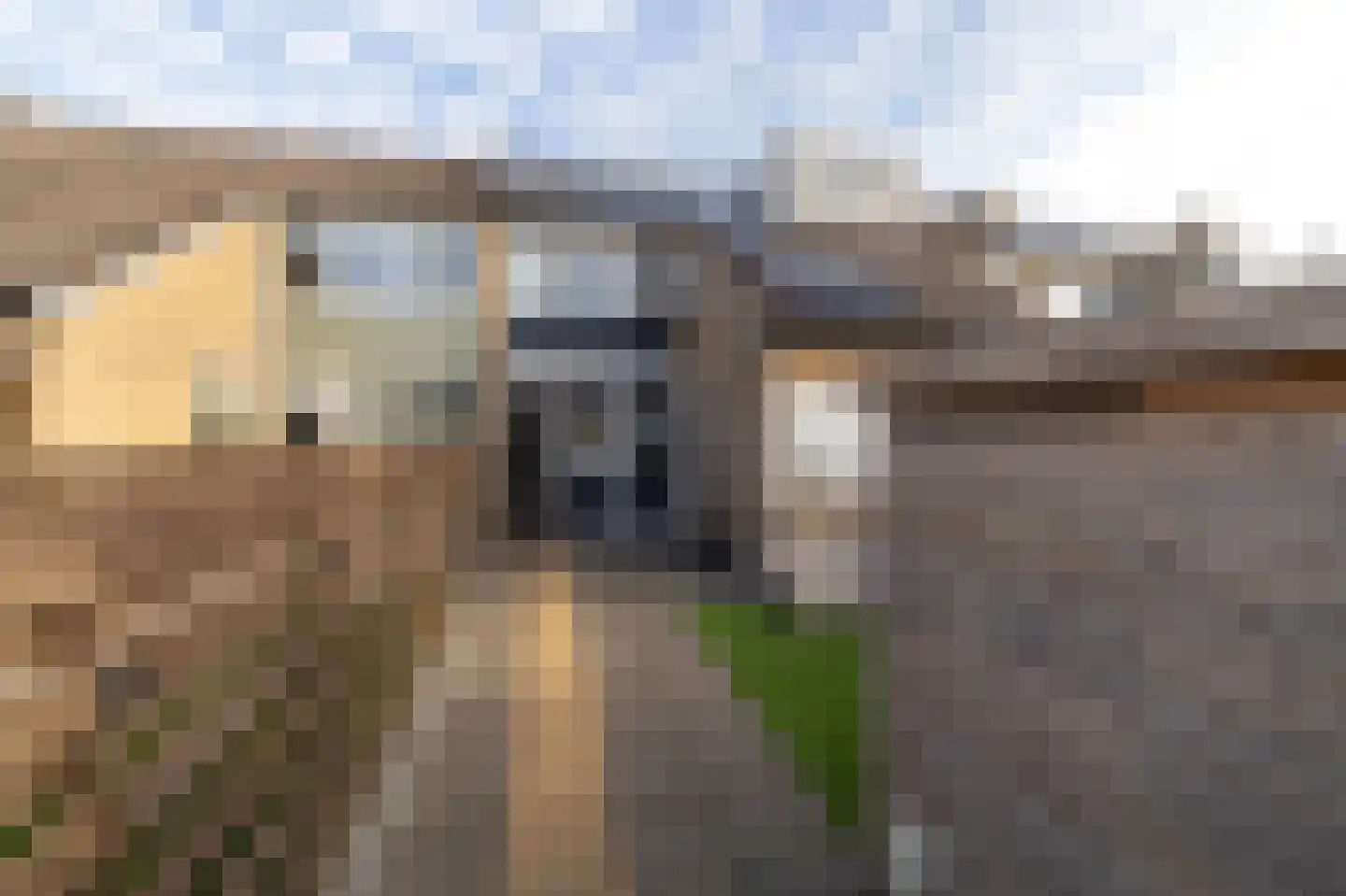 Prof.T.Brandsmastrjitte 7 Woudsend thumbnail 30