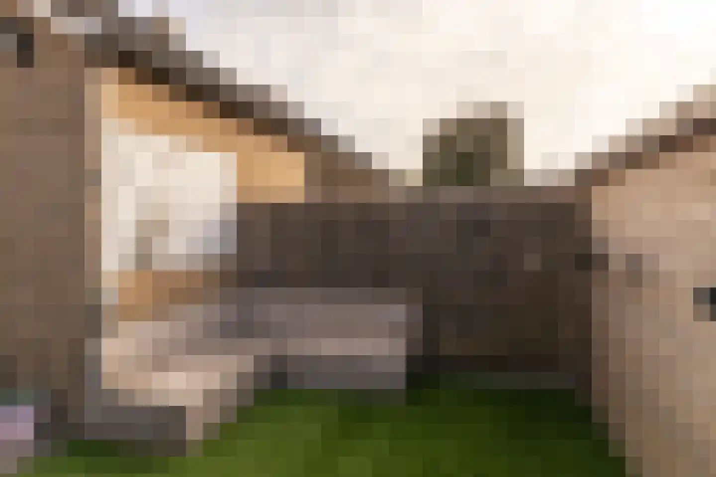 Prof.T.Brandsmastrjitte 7 Woudsend thumbnail 32