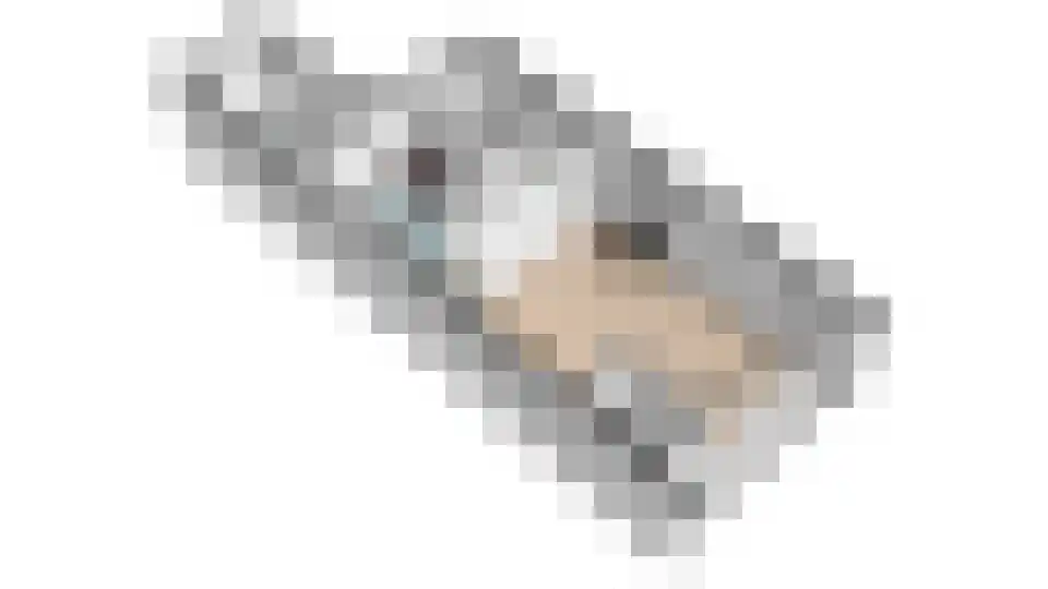 Prof.T.Brandsmastrjitte 7 Woudsend thumbnail 38