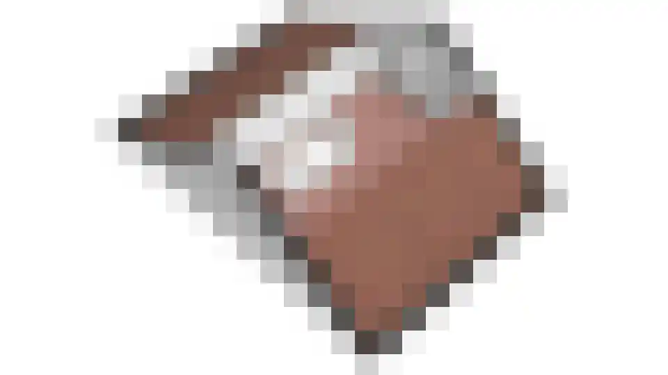 Prof.T.Brandsmastrjitte 7 Woudsend thumbnail 40