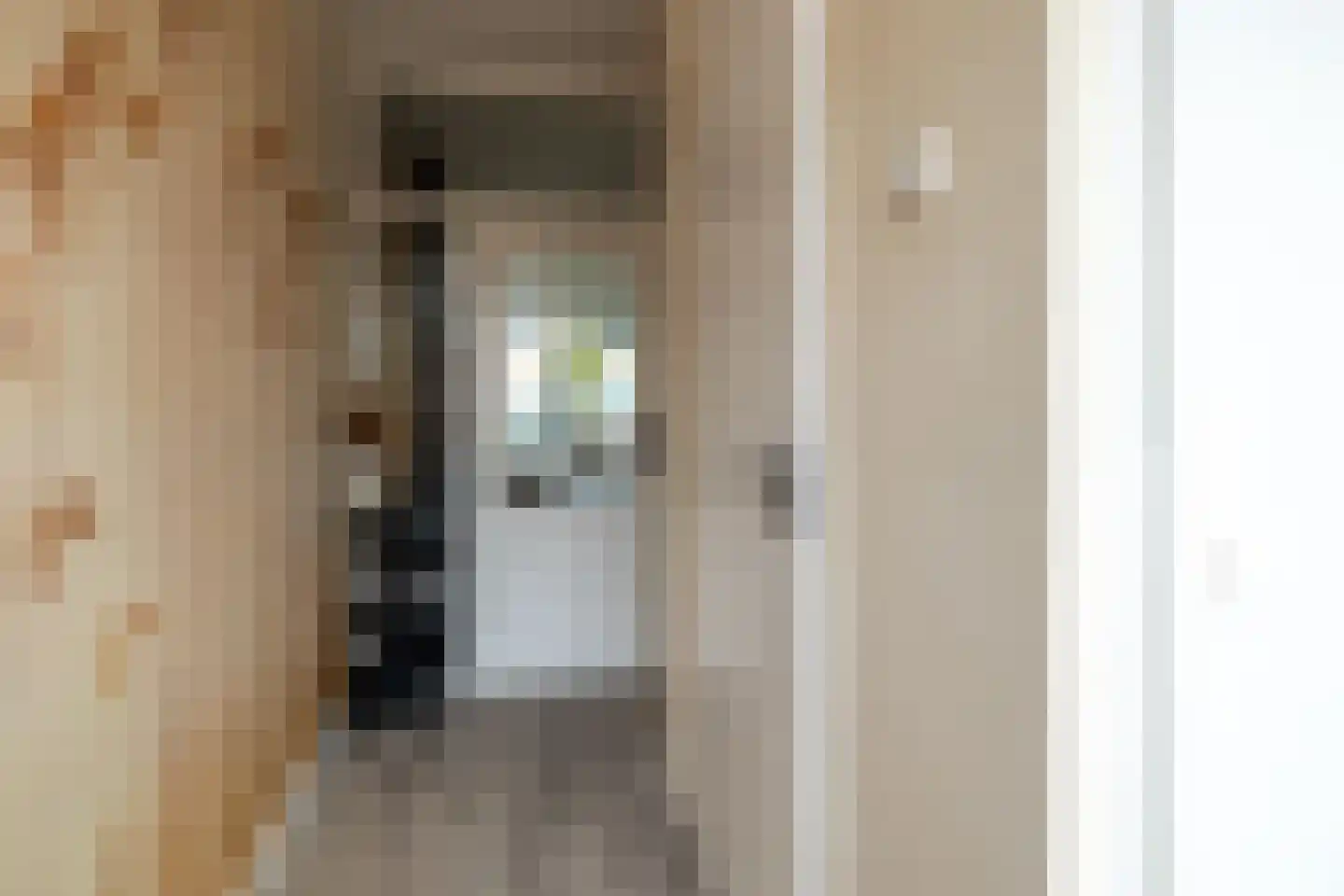 Prof.T.Brandsmastrjitte 7 Woudsend thumbnail 6
