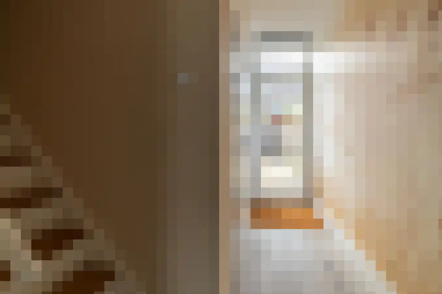 Prof.T.Brandsmastrjitte 7 Woudsend thumbnail 7