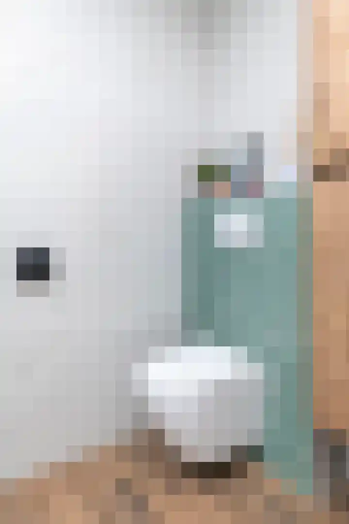 Prof. Teldersstraat 43 Heinenoord thumbnail 21