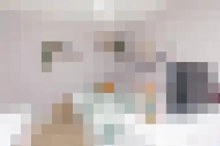 Prof. Teldersstraat 43 Heinenoord thumbnail 24
