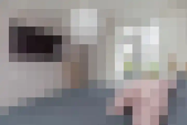 Prof. Teldersstraat 43 Heinenoord thumbnail 28