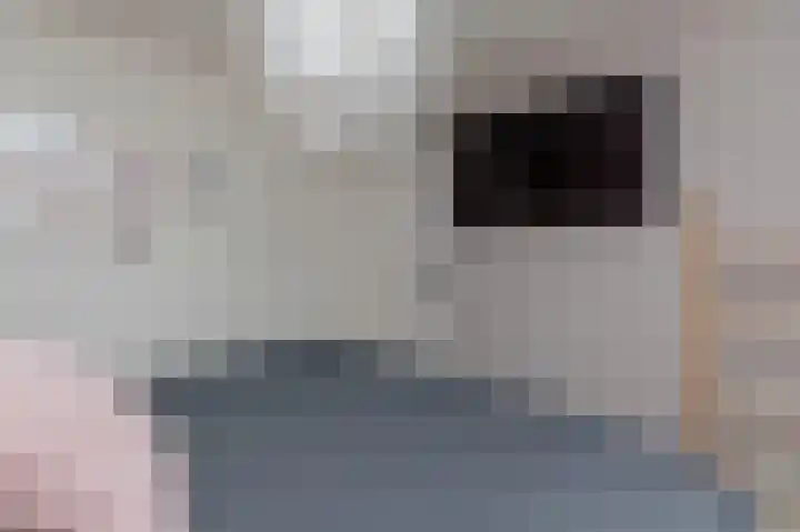 Prof. Teldersstraat 43 Heinenoord thumbnail 29