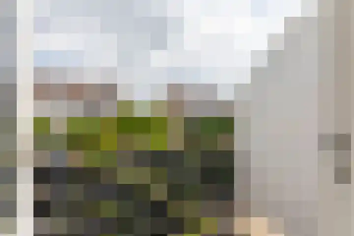 Prof. Teldersstraat 43 Heinenoord thumbnail 30