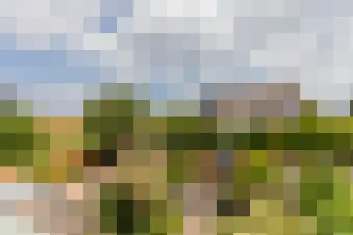 Prof. Teldersstraat 43 Heinenoord thumbnail 31
