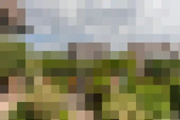 Prof. Teldersstraat 43 Heinenoord thumbnail 32