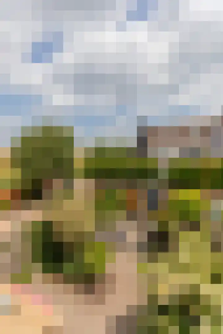 Prof. Teldersstraat 43 Heinenoord thumbnail 33